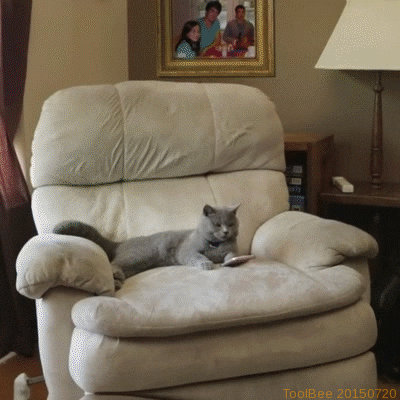 Dave's Picks | Tips to ditch your smartphone (and live more in the present)