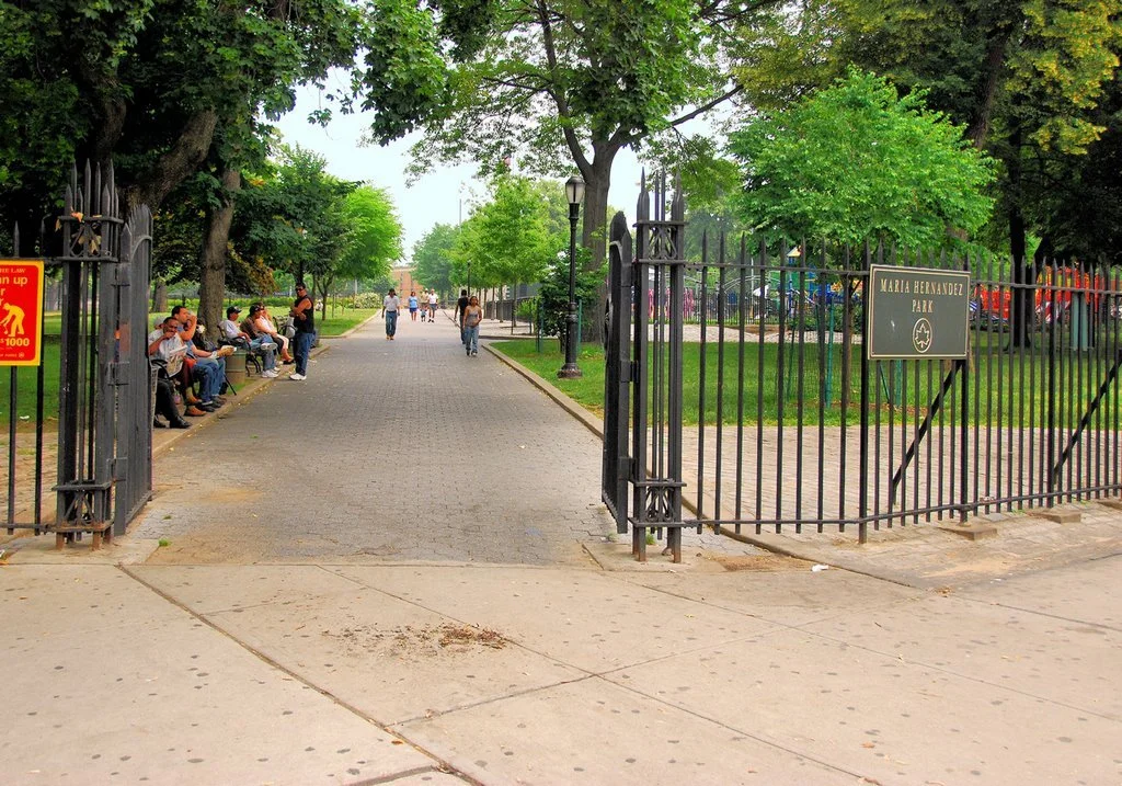 Dave's Picks | Bushwick Votes To Upgrade A Dog Park (and Extend Some Curbs!)