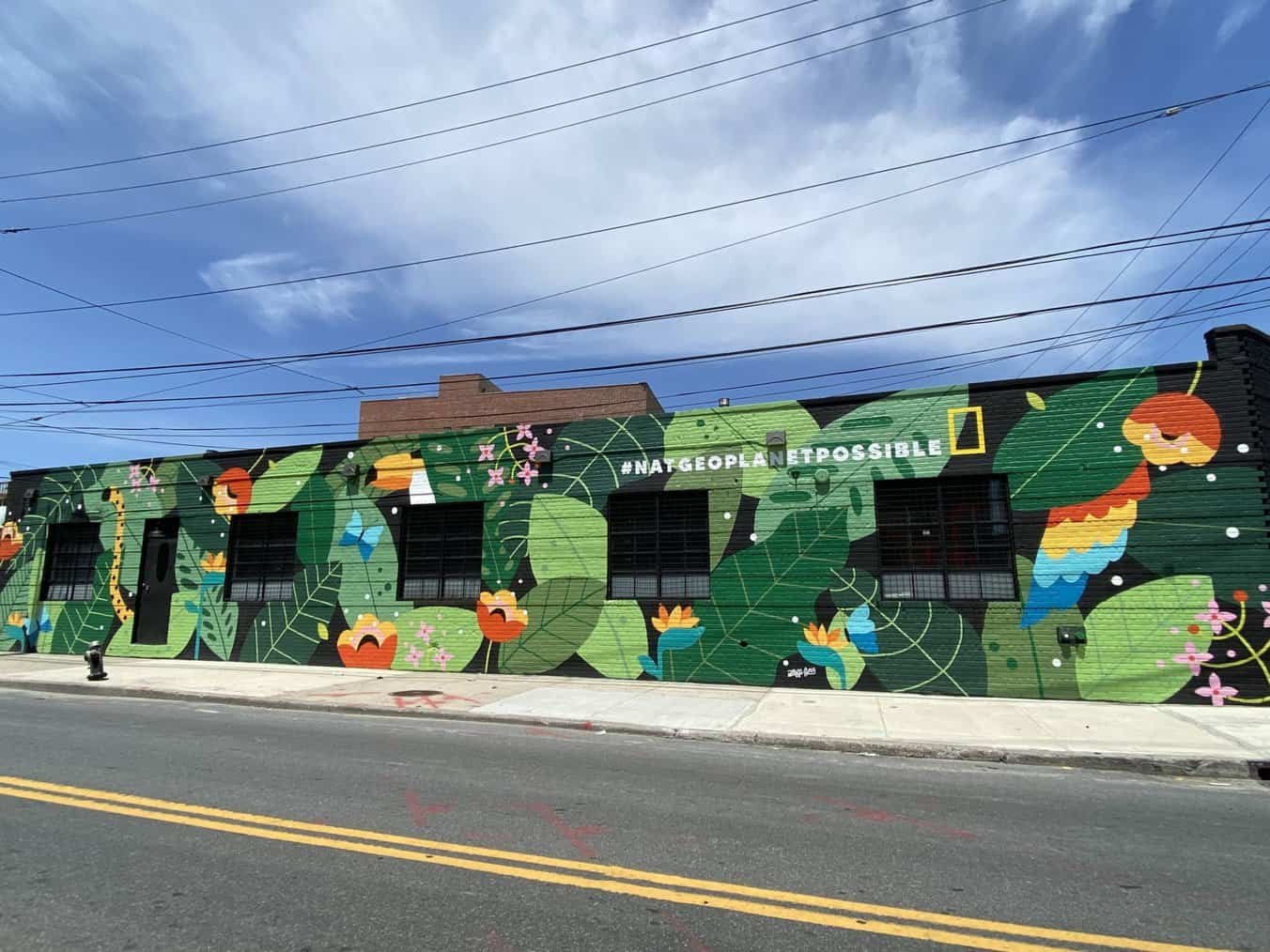 Dave's Picks | Amazon Rainforest Arrives To A Bushwick Corner!