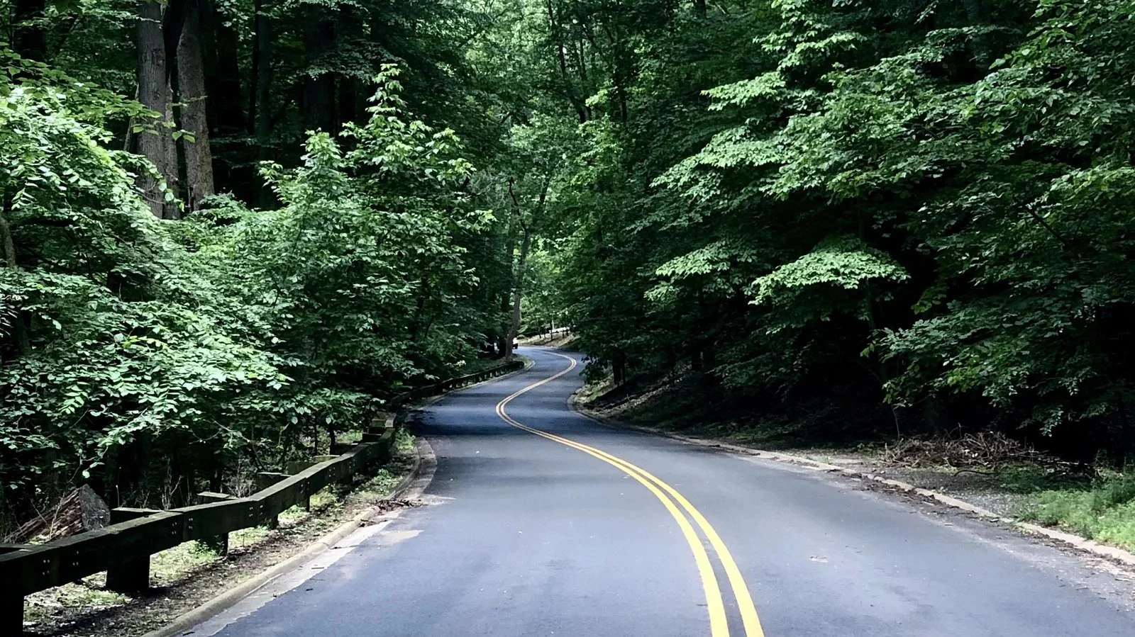Dave's Picks | Riding My Bike Doesn't Always Make Sense — But That's Why I Love It