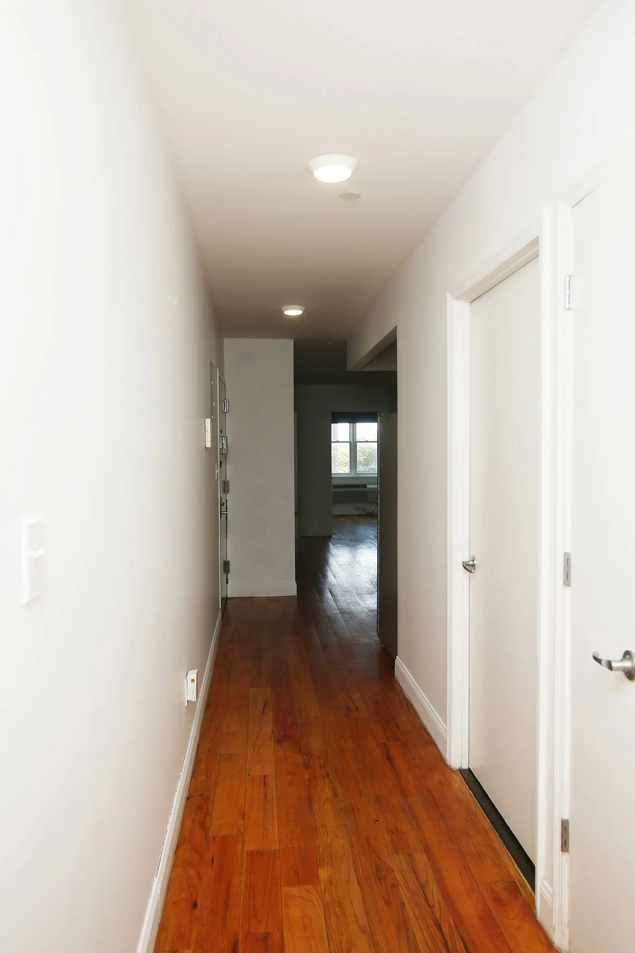 426 Lafayette Avenue 3C