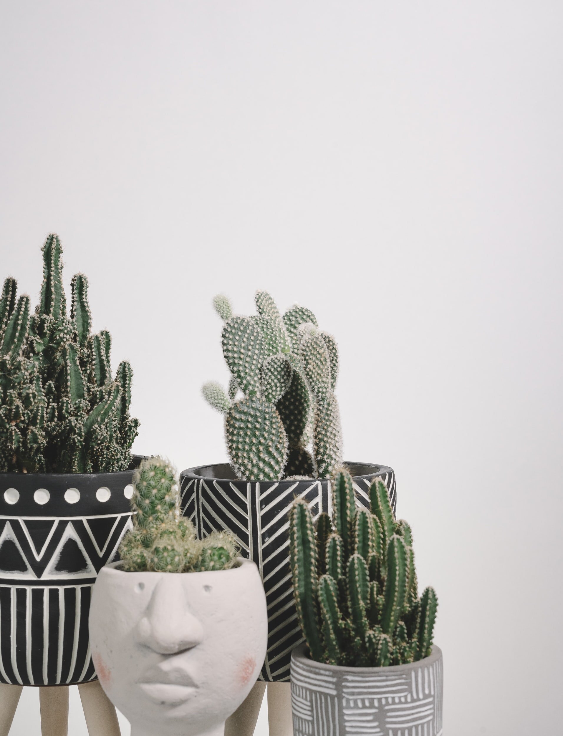 Planters image