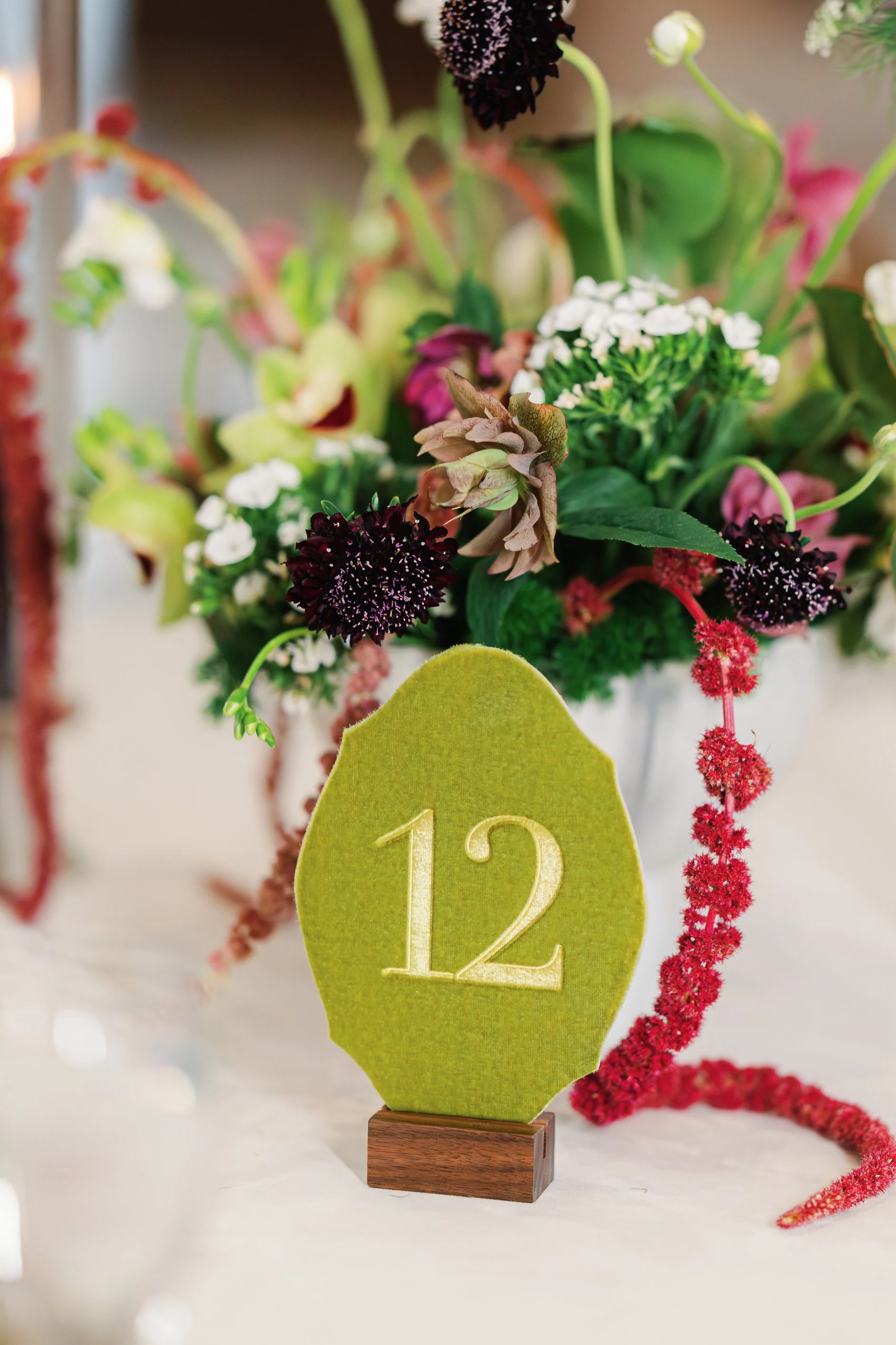 5x7 olive green velvet