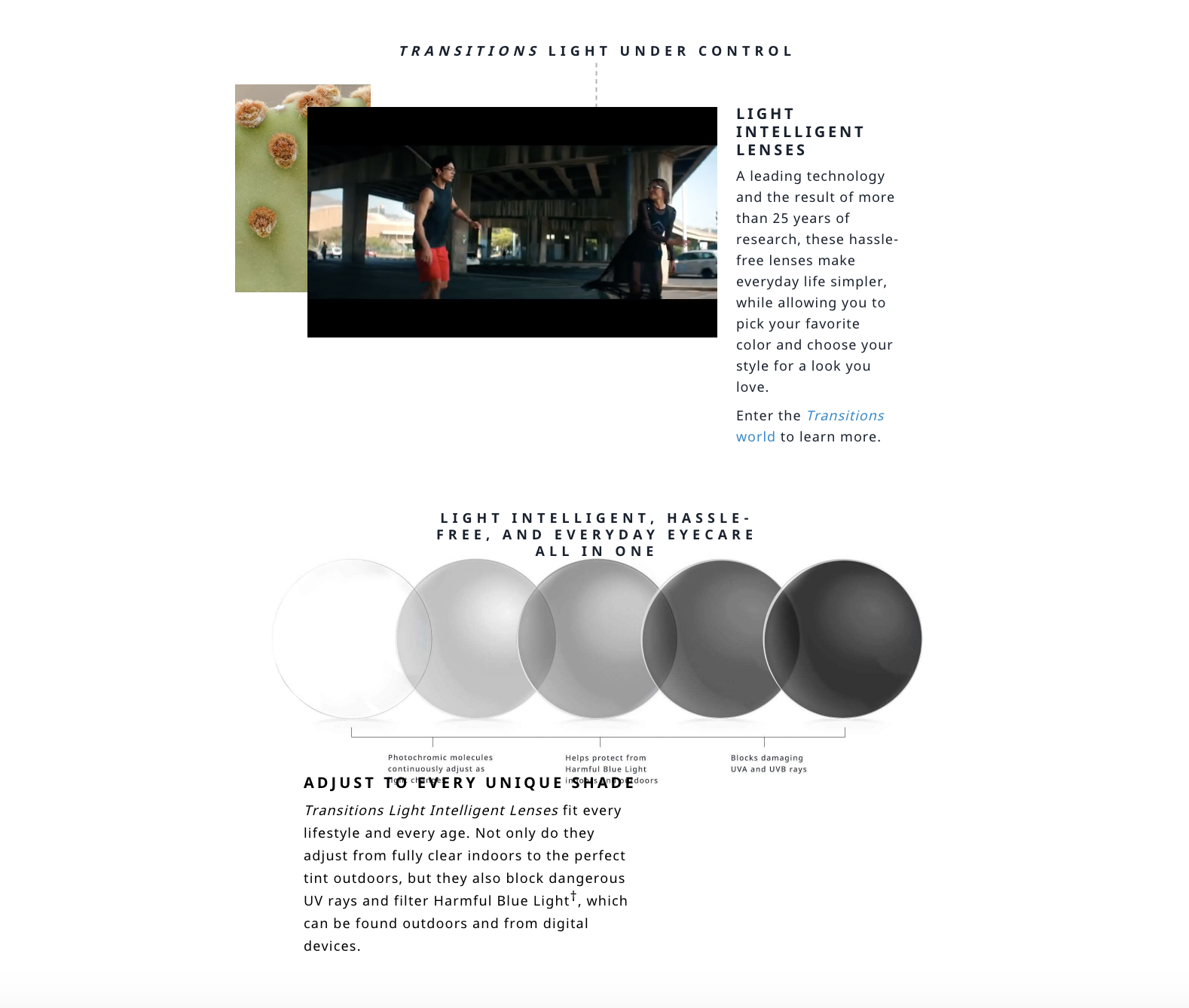 Image Optical Nashville Eyewear