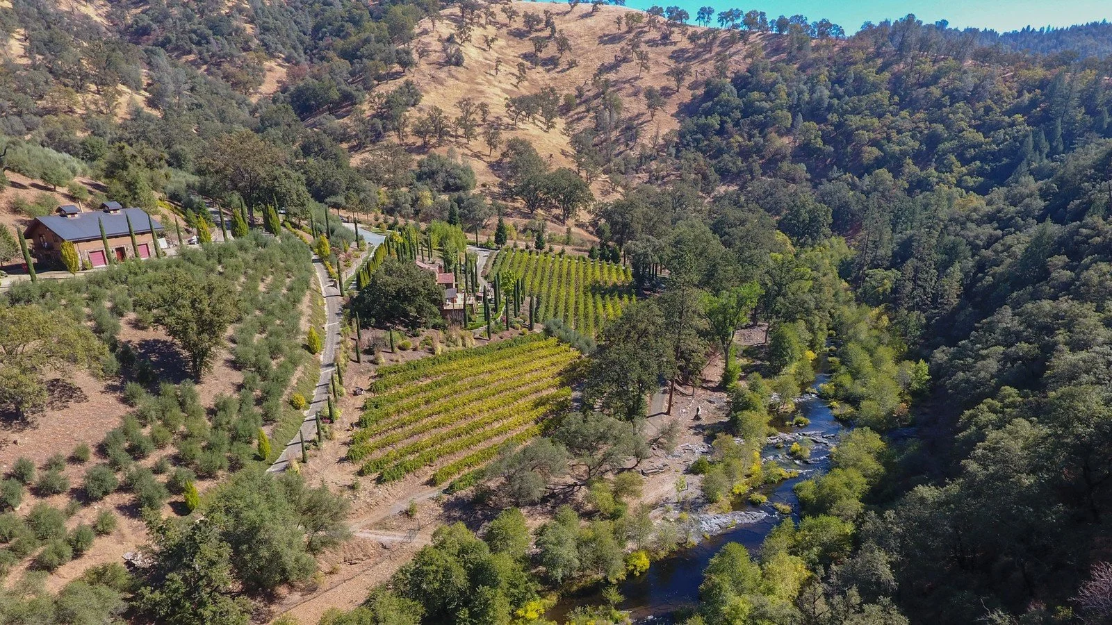 placerville7.jpg