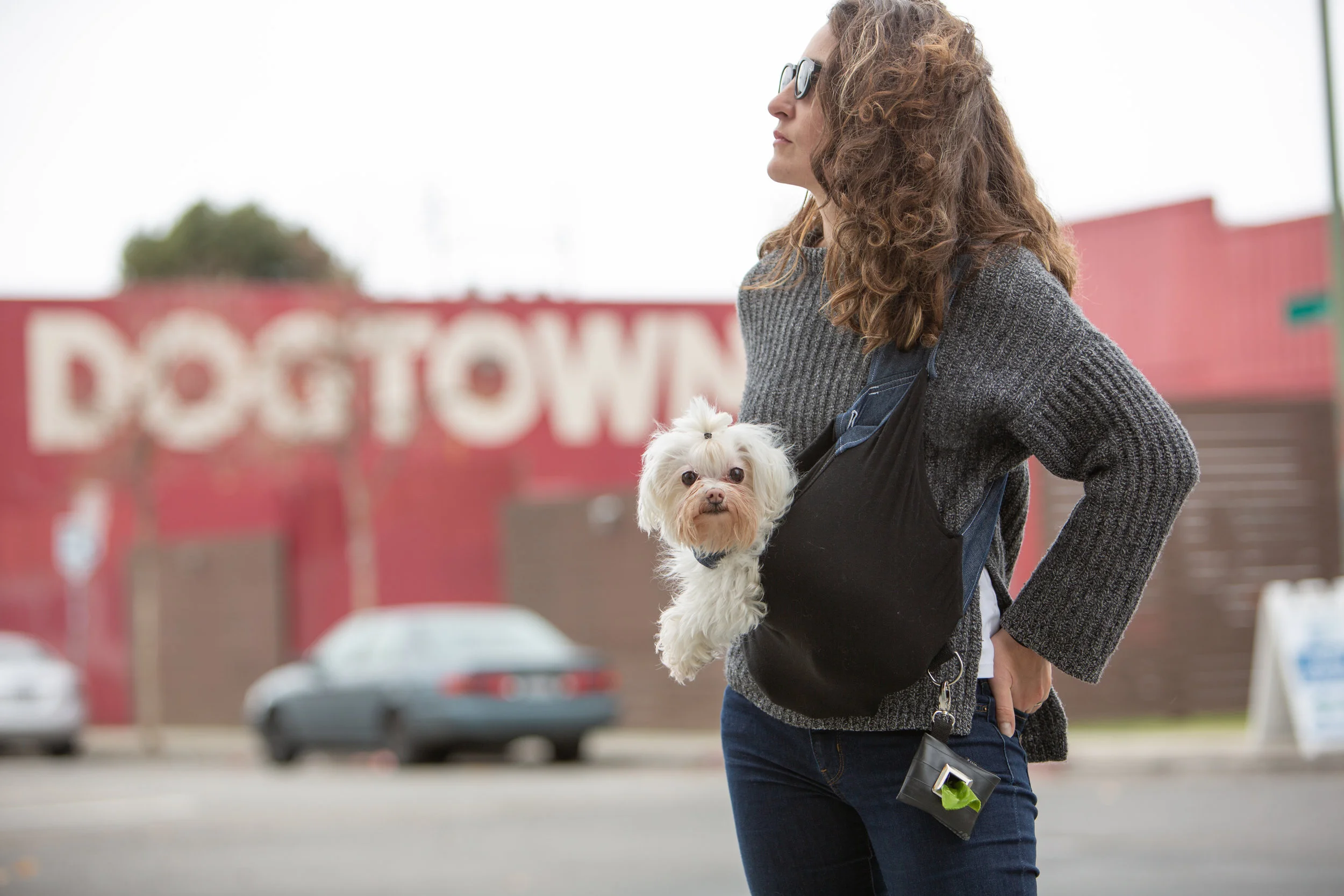 A dog and a blonde woman.jpg