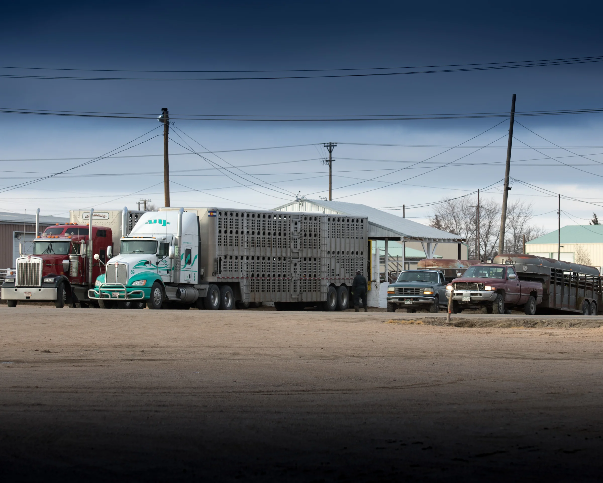Sterling Livestock Commission