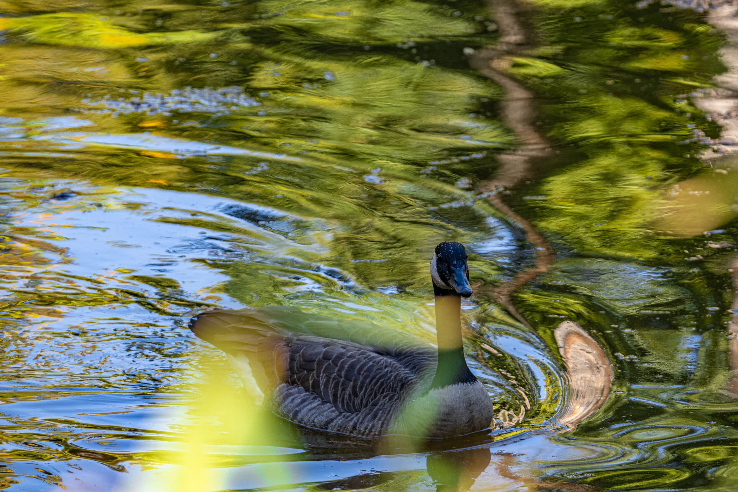 DSC07189.jpg