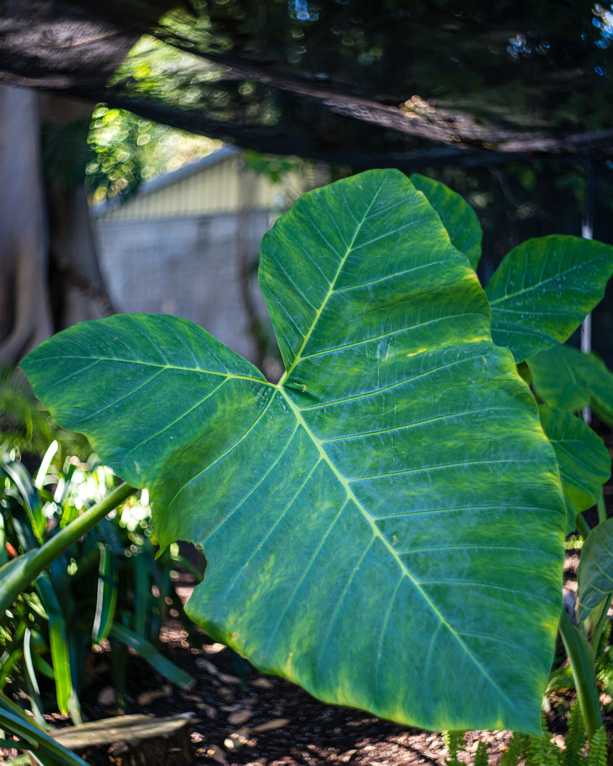 DSC07577.jpg
