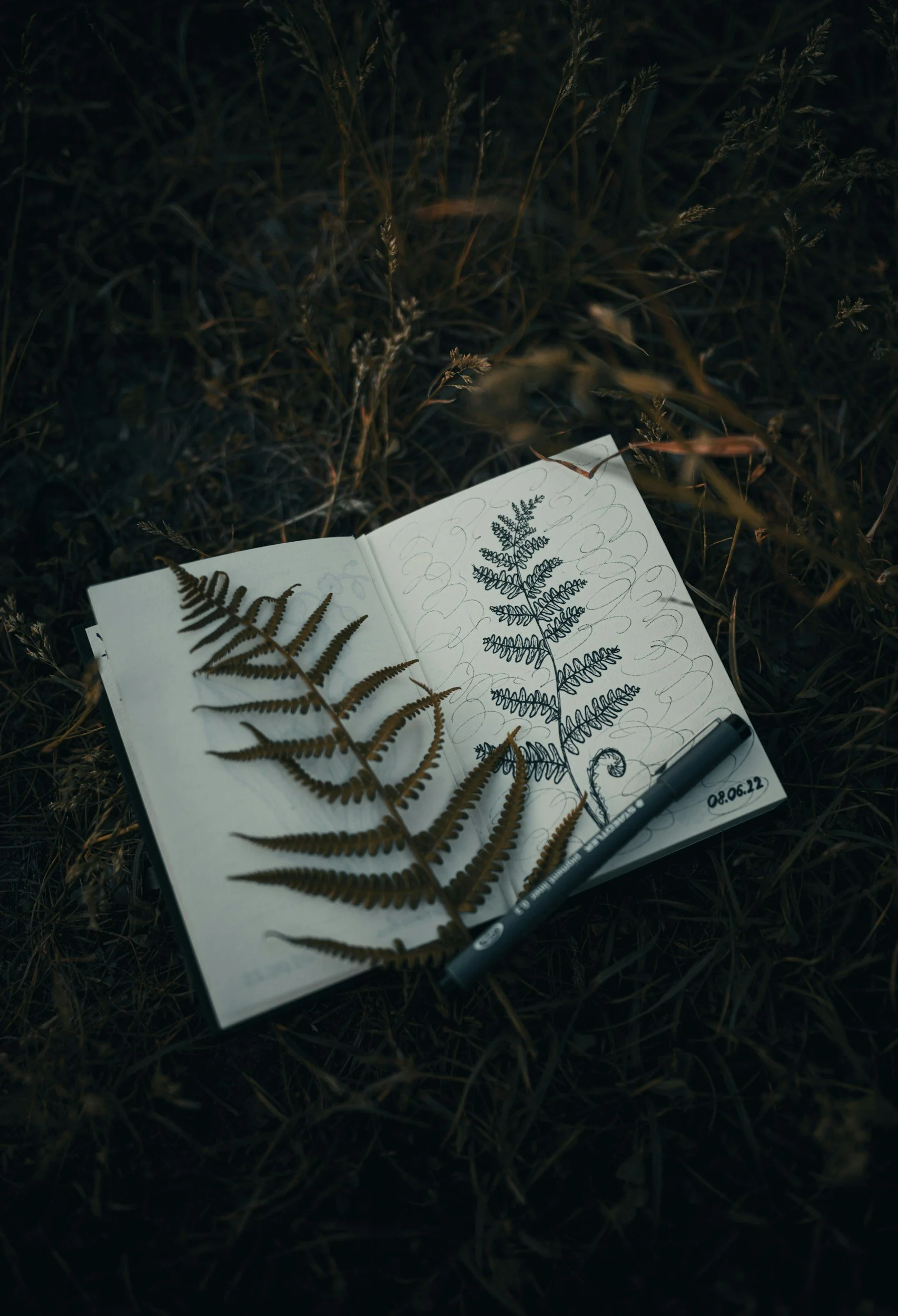 Interplay: Mindfulness, Creativity, and Community