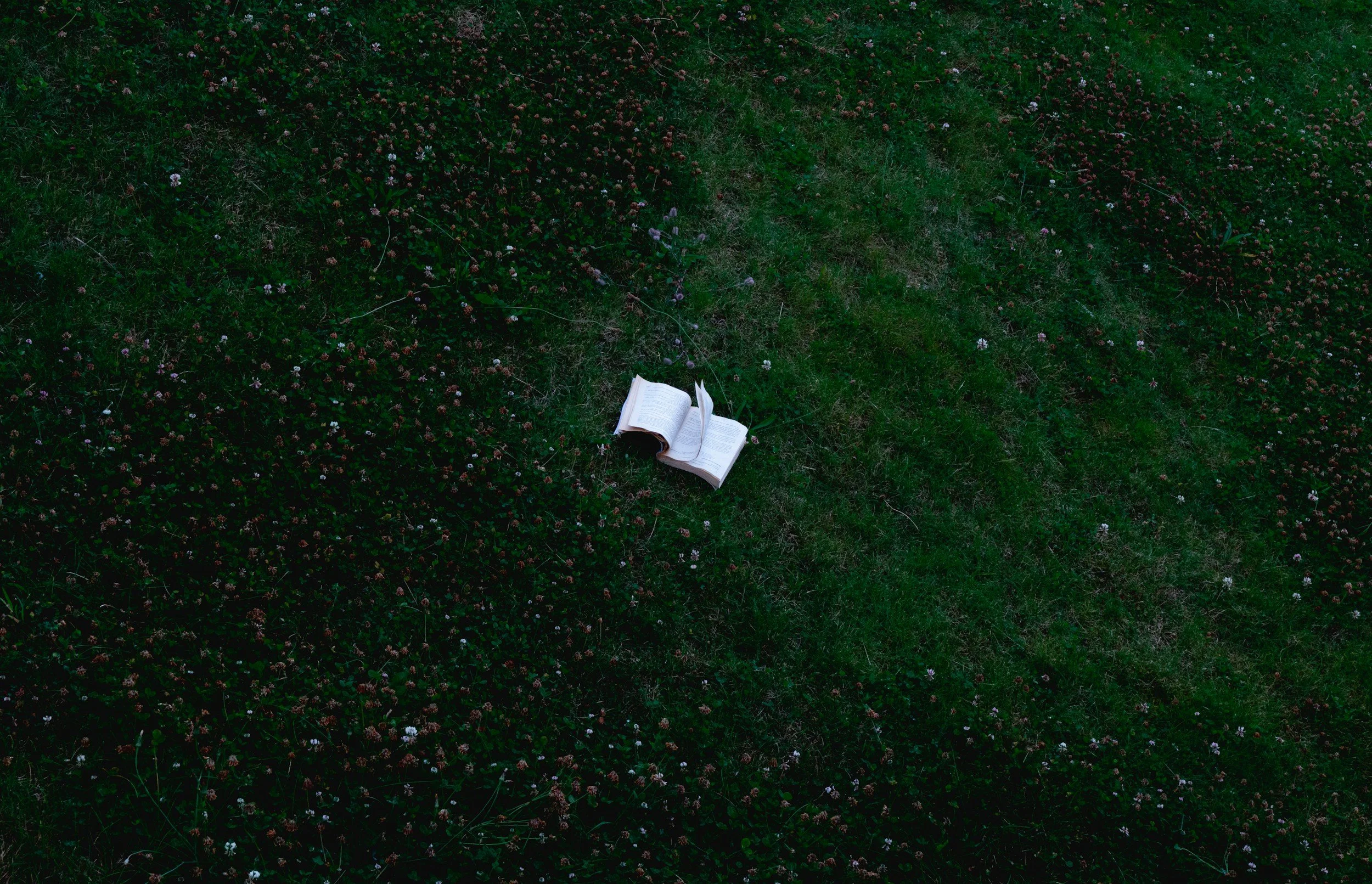Escape to the Page! A Creative Writing Adventure (Weekly)