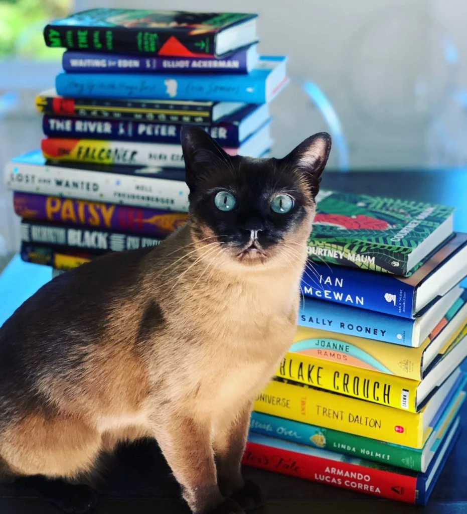 Can’t meditate? Read this.