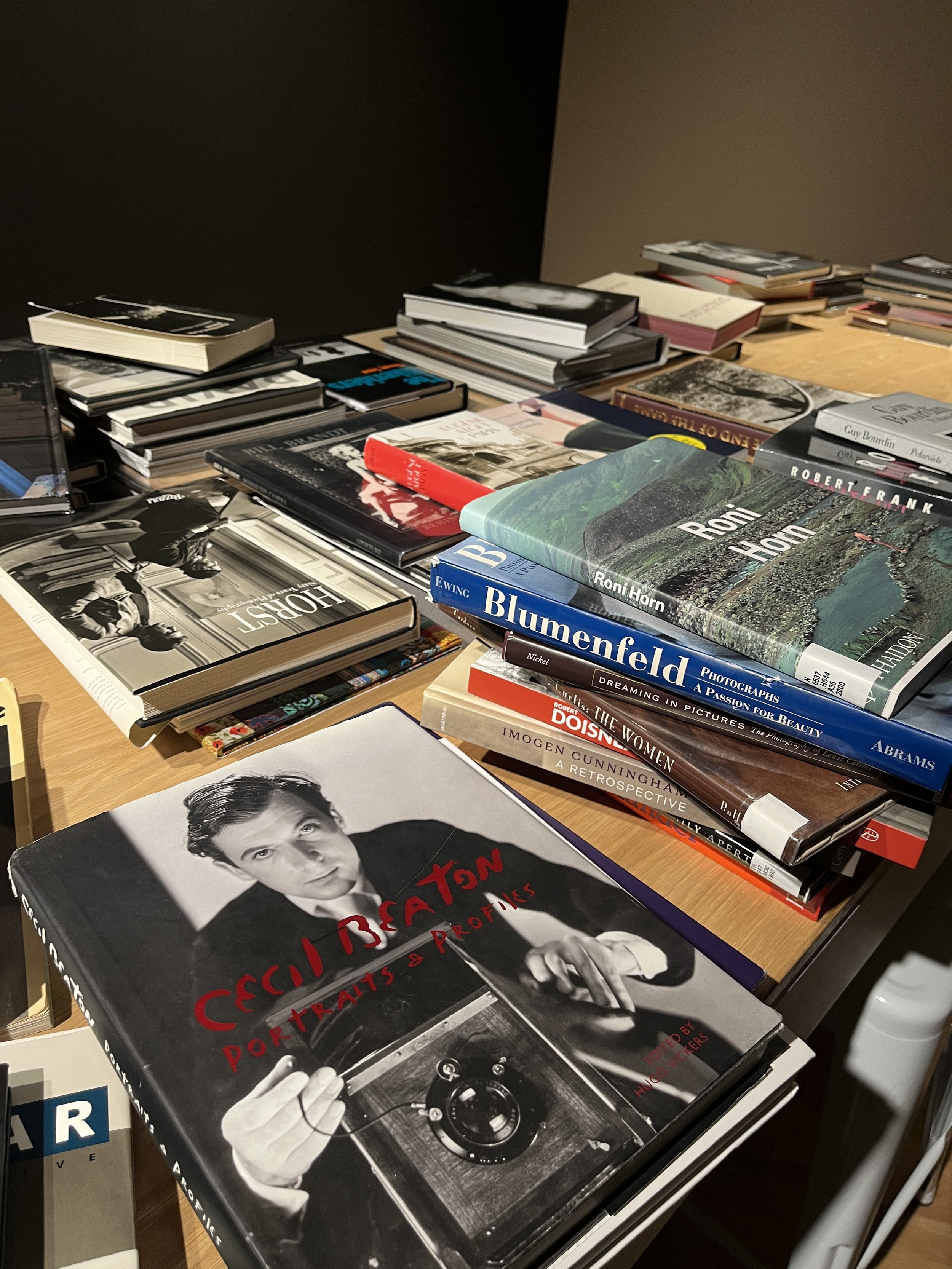 Leibovitz inspirational book collection