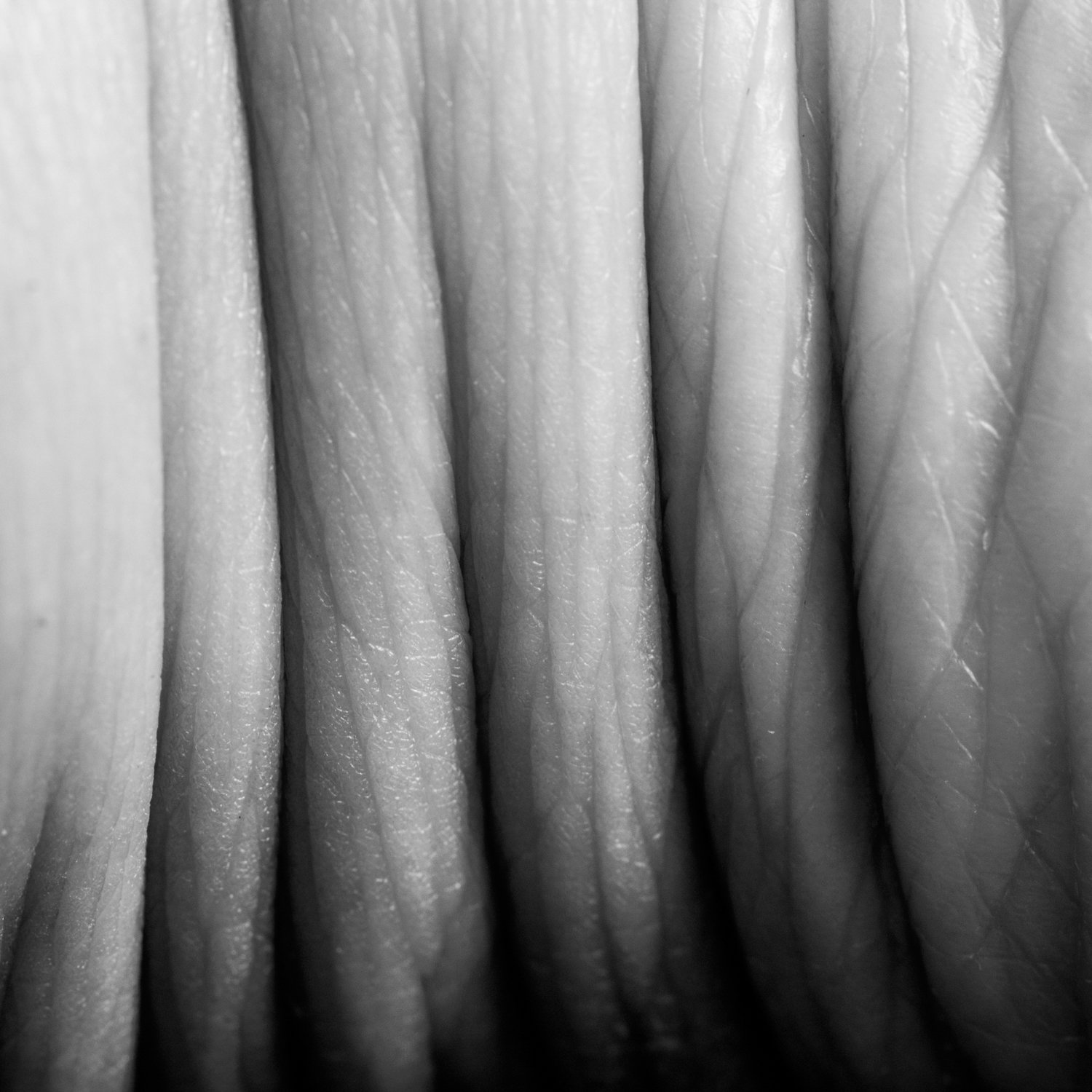 Wrinkly Ankles