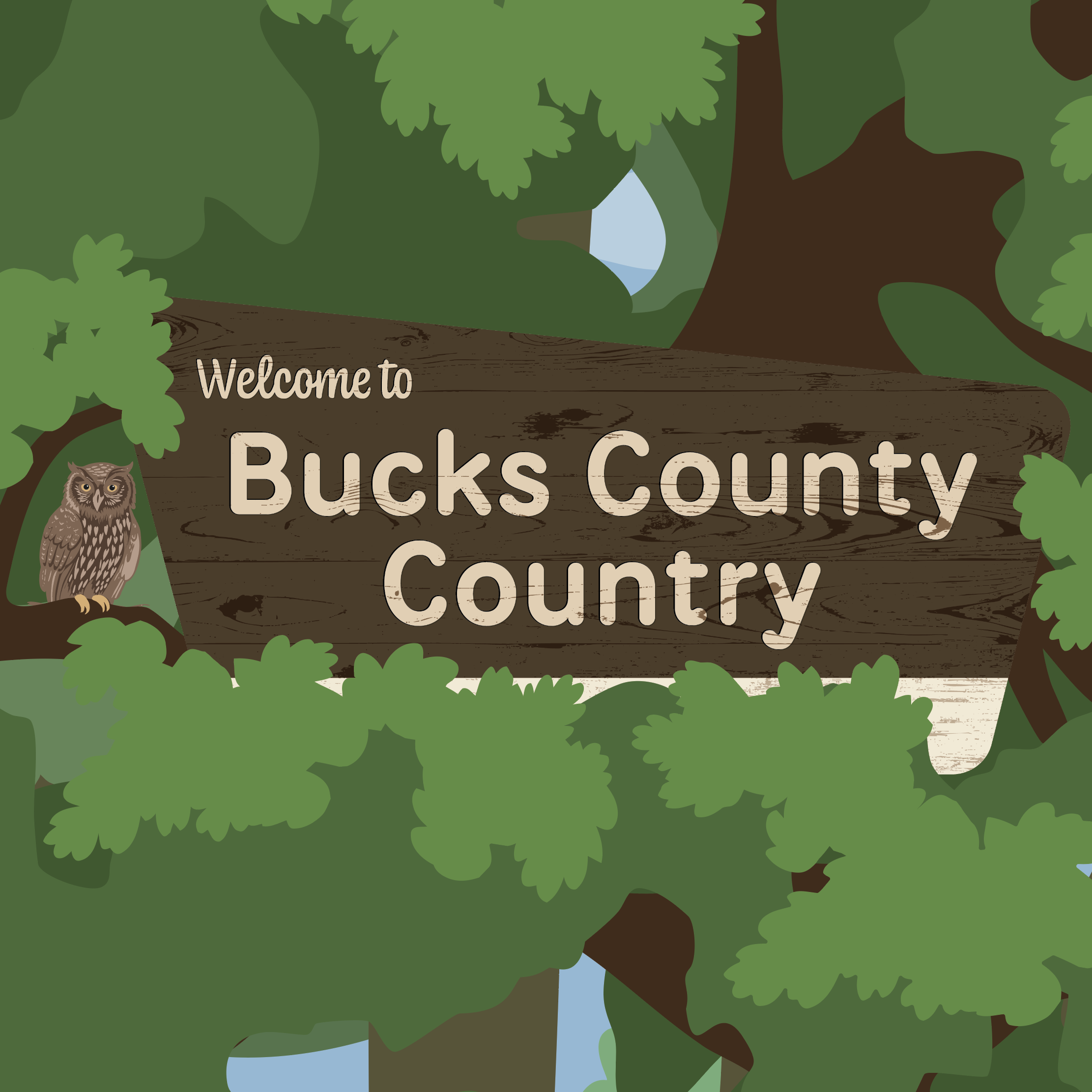 Bucks_cover.png