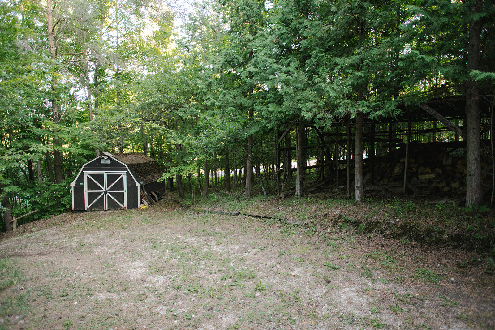FBeatty-080719-HenHouse-2.jpg