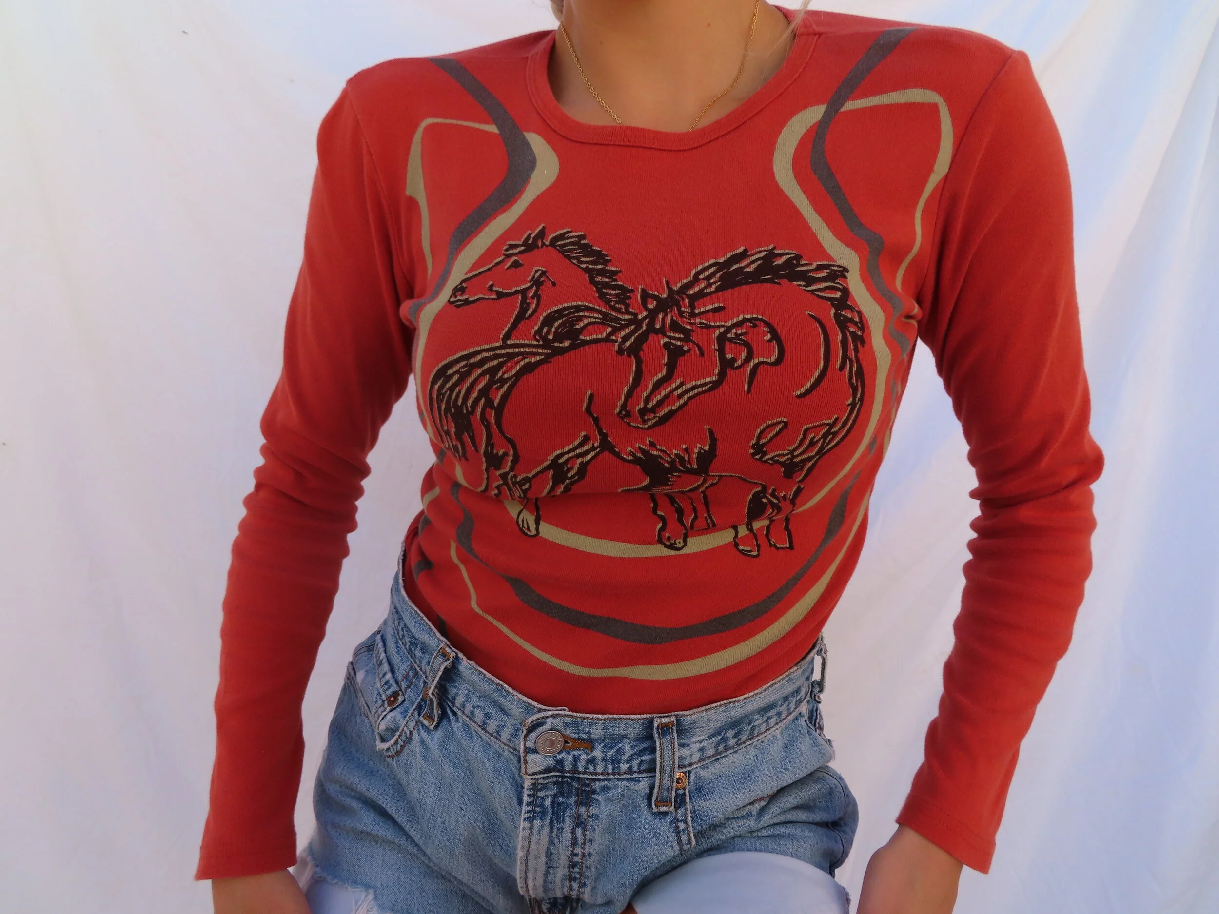Stallion Long Sleeve Top