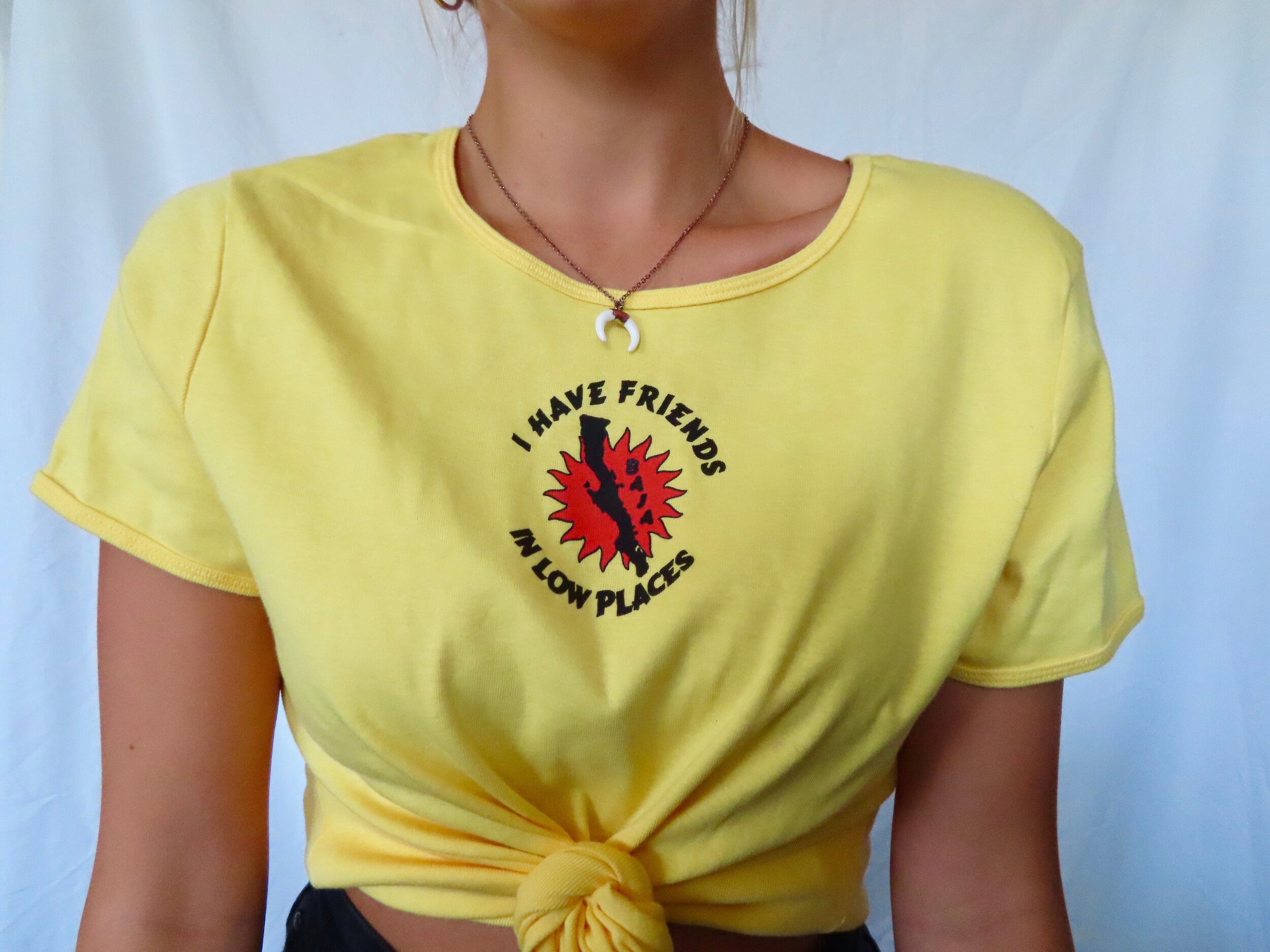 Friends in Low Places Top