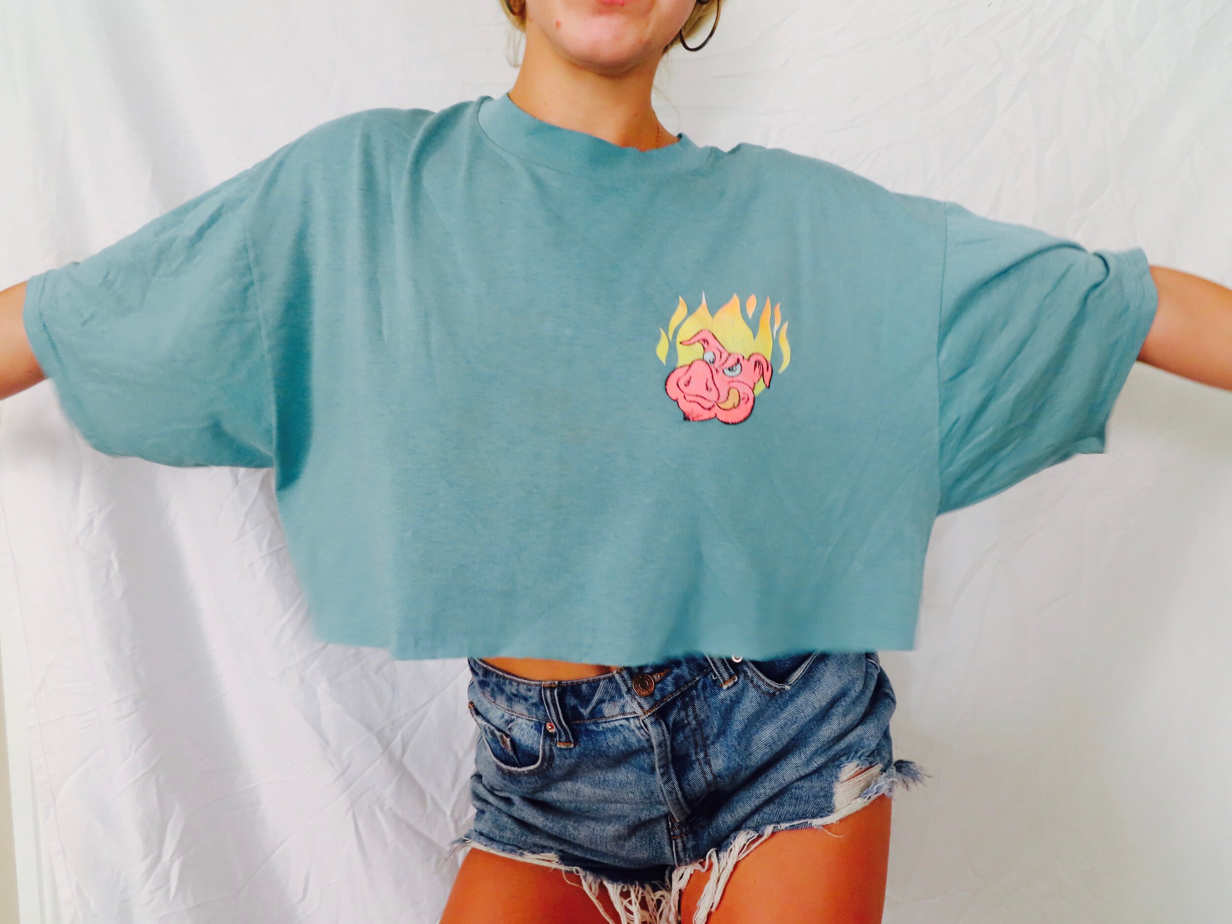 Hogs N Heat Crop Top