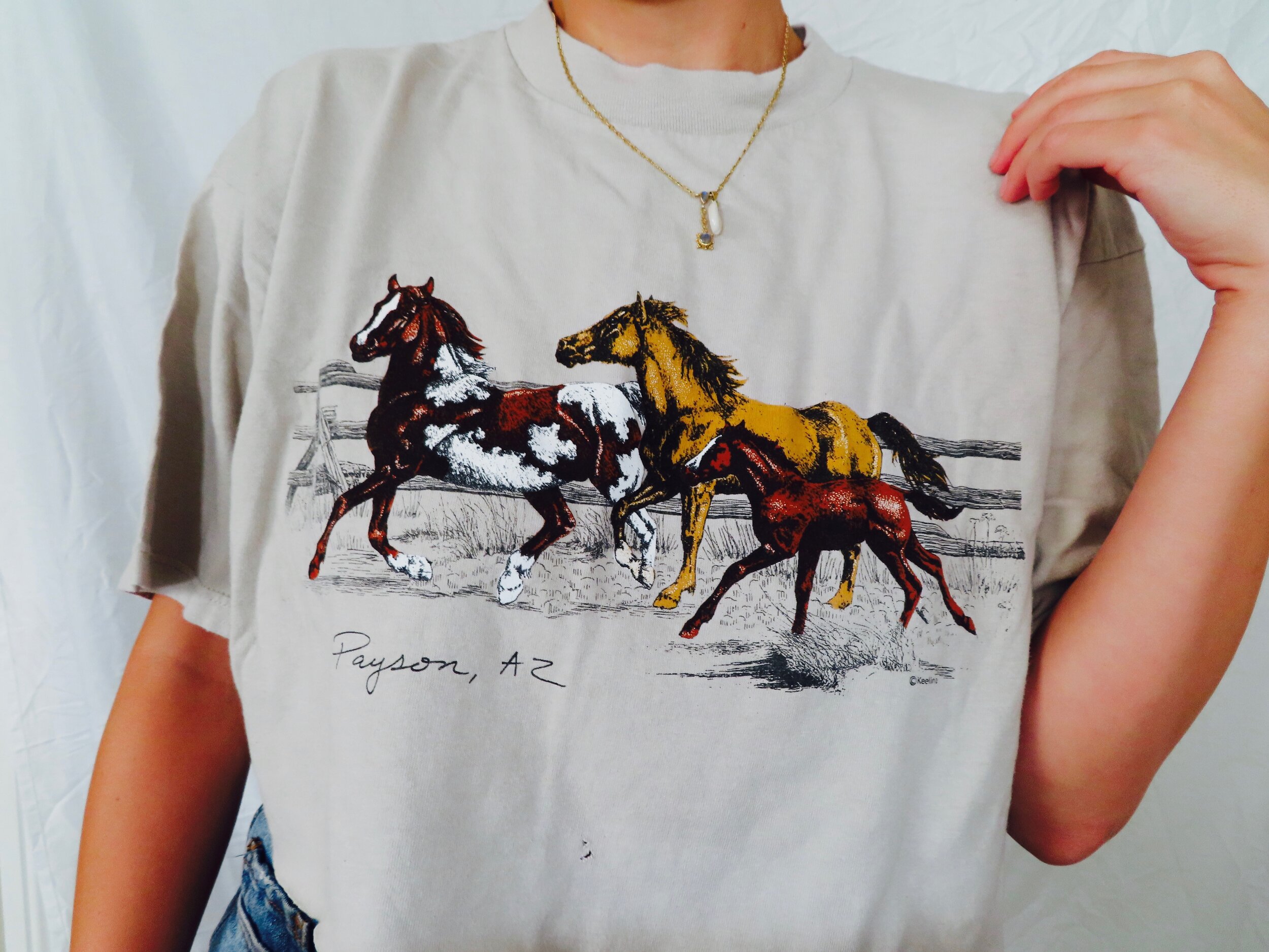 Wild West Crop Top