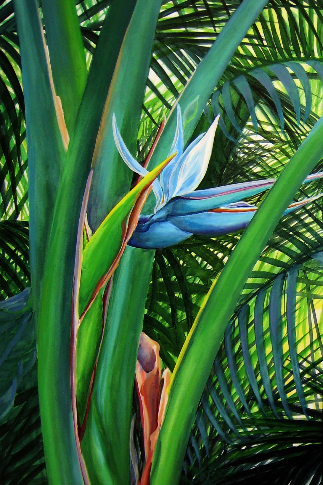 paradise 5 copy.jpg