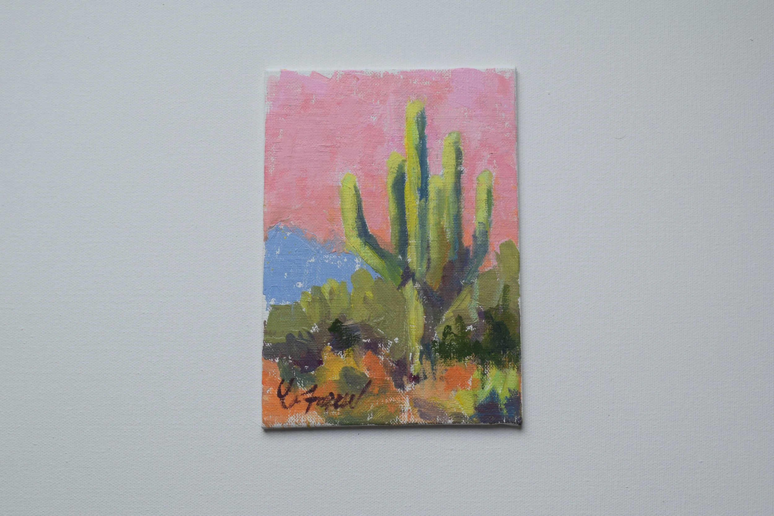 "Arizona Cactus Study"