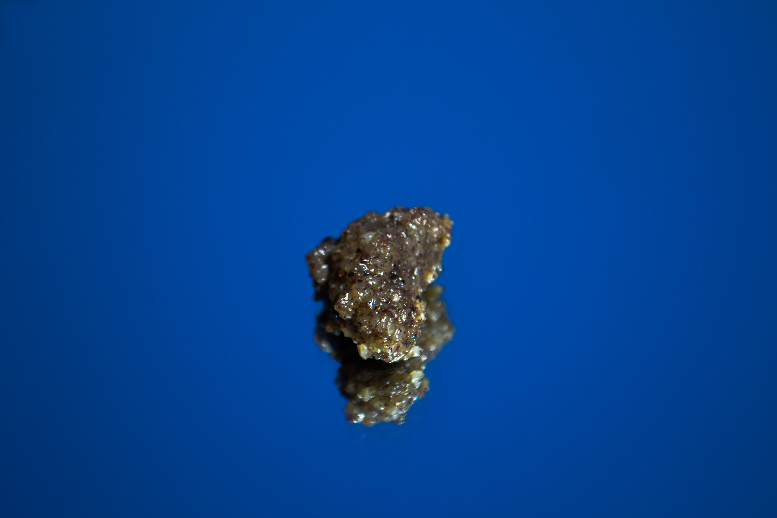 DSC_0905.jpg