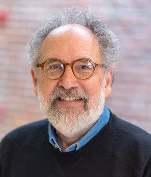 Peter Stein, Board Member