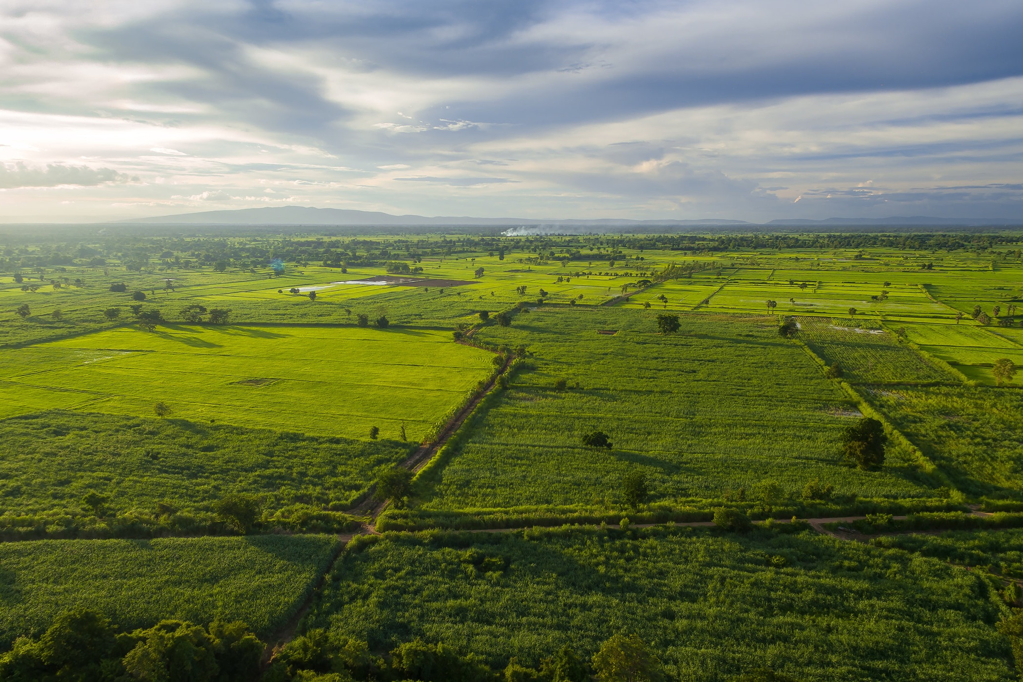 AdobeStock_117288790.jpg