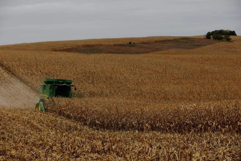 World Grain: Cargill tackles ag conservation