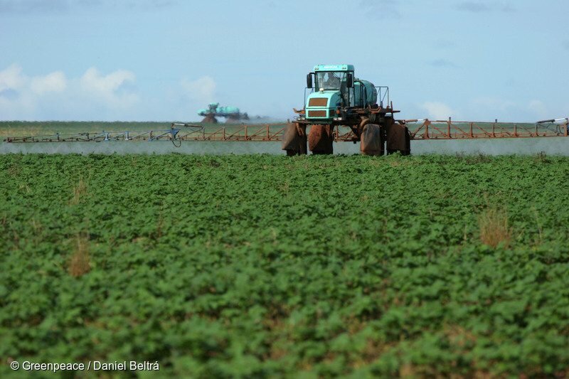 The Pig Site: Cargill to reward US farmers for carbon capture with new fund
