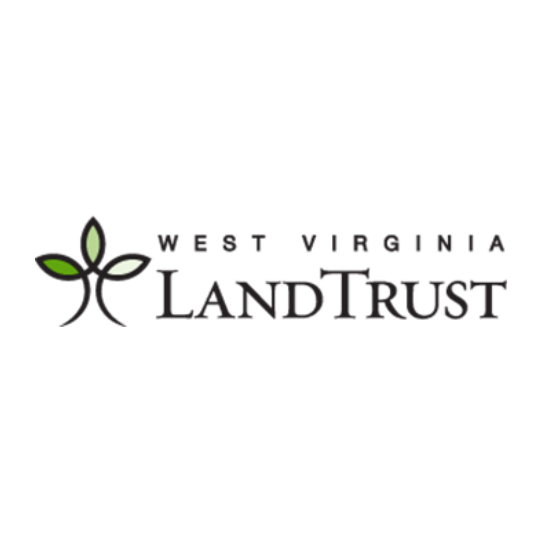 white_bg wv land trust web logo square.png