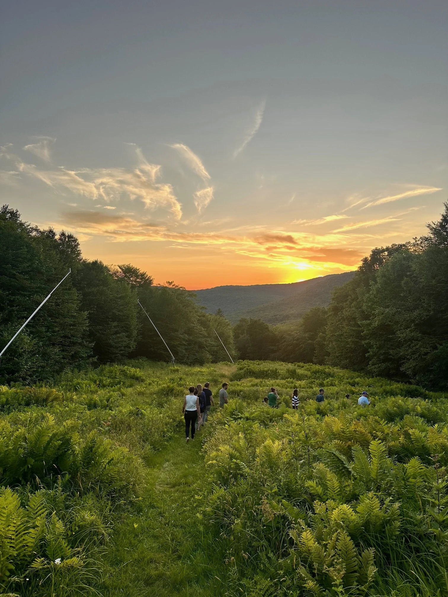 vermont-team-retreat-hike.jpg