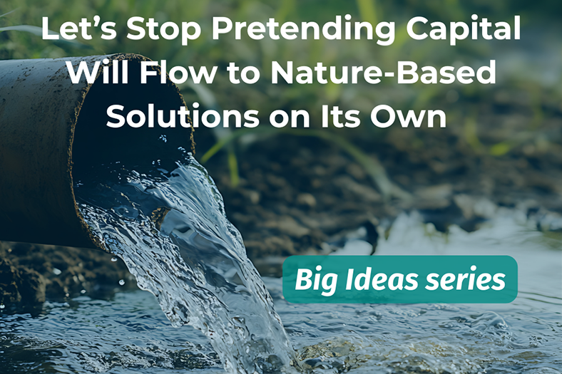 Let’s Stop Pretending Capital Will Flow to Nature-Based Solutions on Its Own&nbsp;