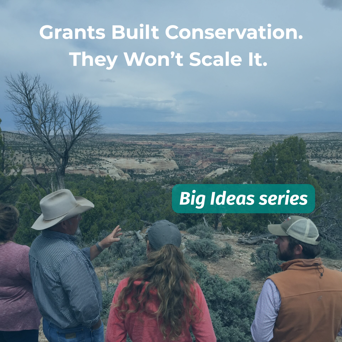 Grants Built Conservation. They Won’t Scale It.&nbsp;