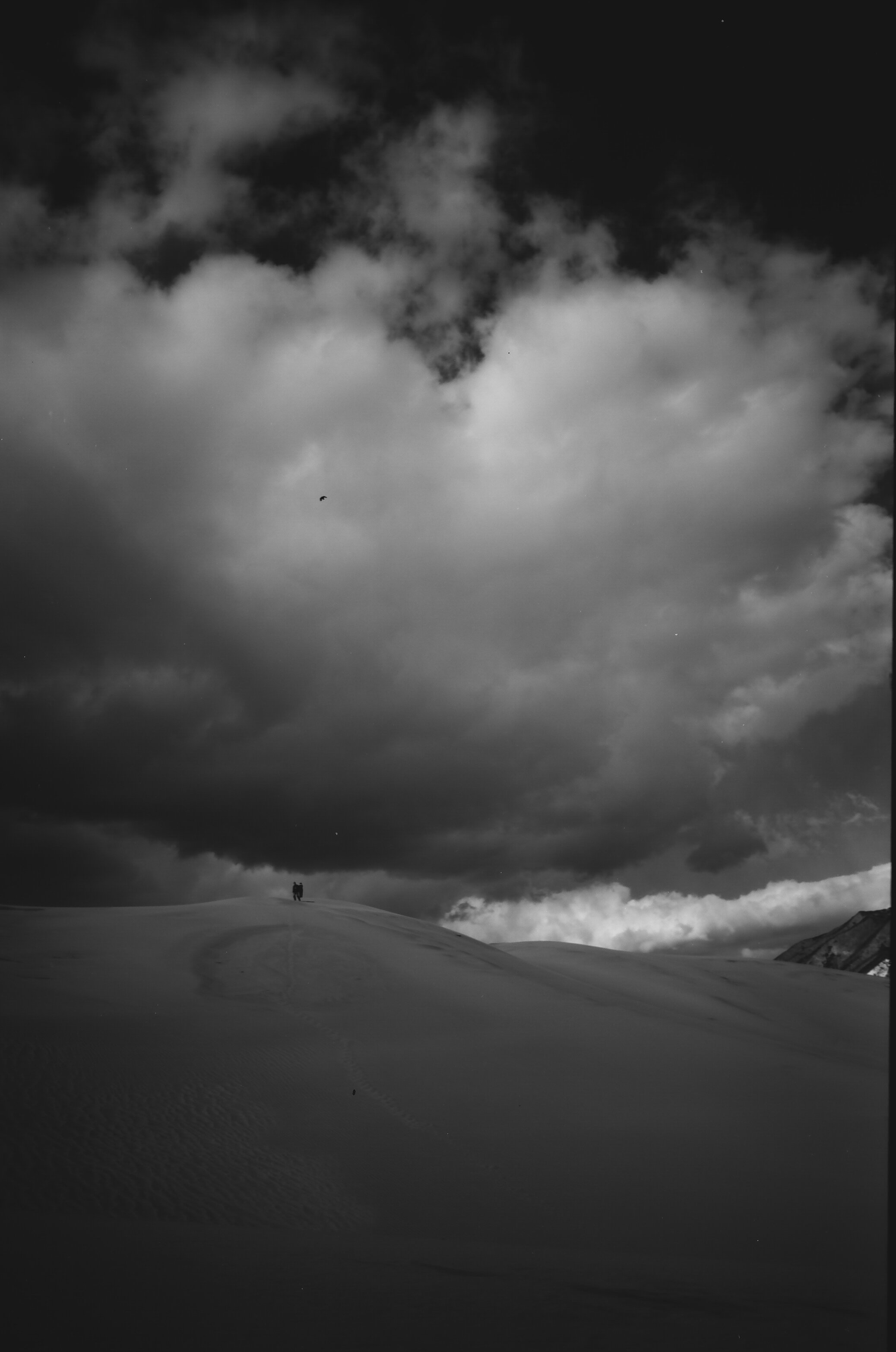 "Great Sand Dunes #2"