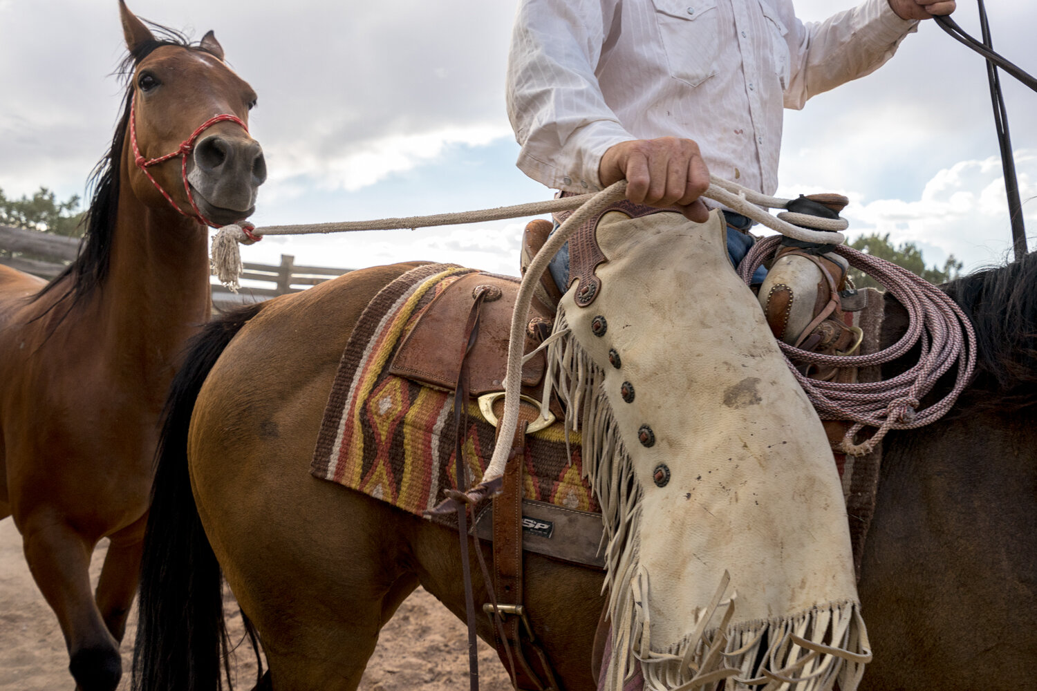 4_20160719-Santa Fe NM-_DSC2633.jpg