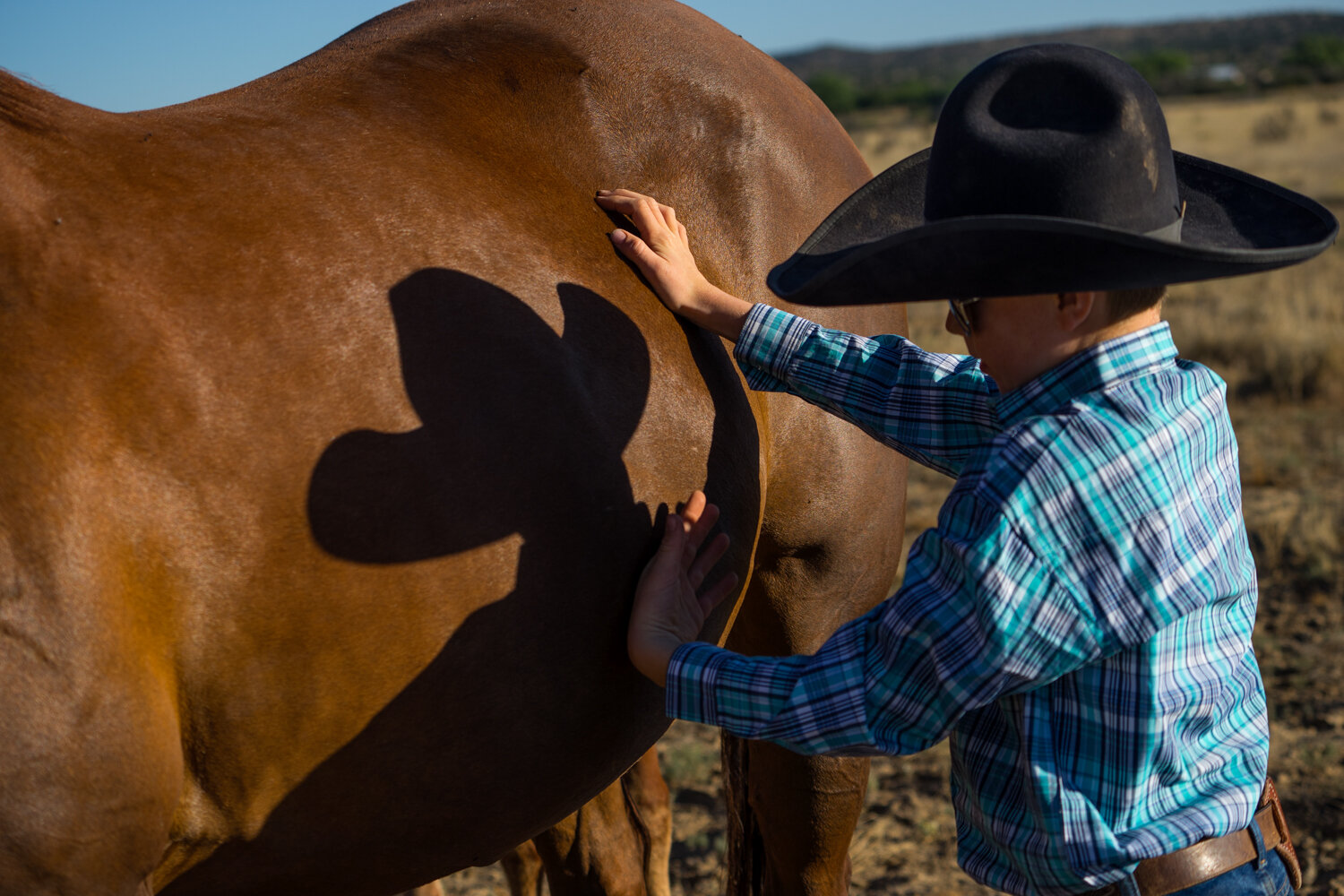 12_20160721-Santa Fe NM-_DSC4839.jpg