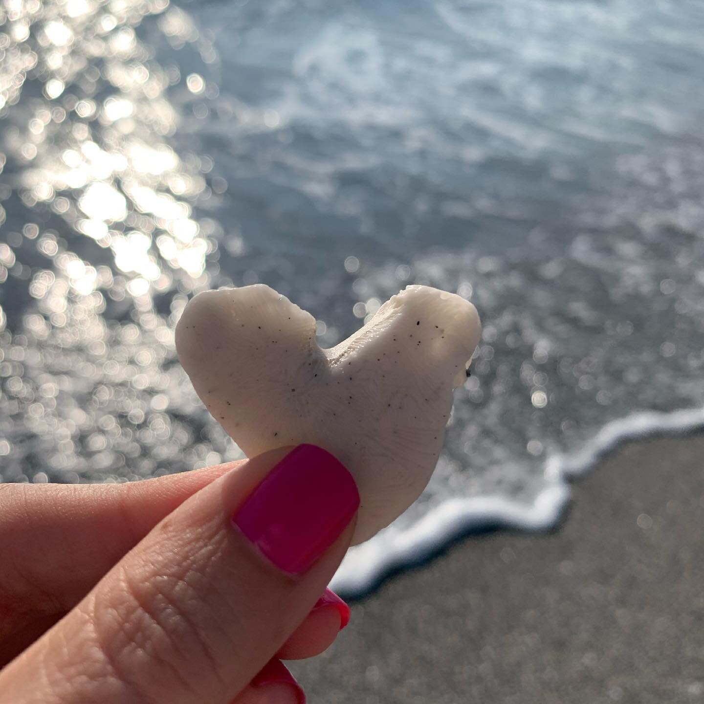 What would I tell myself a year ago?
You’re about to experience true love.
When she dedicated a convent in Charlotte, North Carolina, in 1995, Mother Teresa said, “God died for you and for me and for that leper and for that person dyi