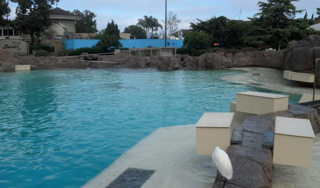 Rocky point_3.jpg
