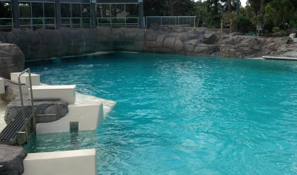 Rocky point_4.jpg