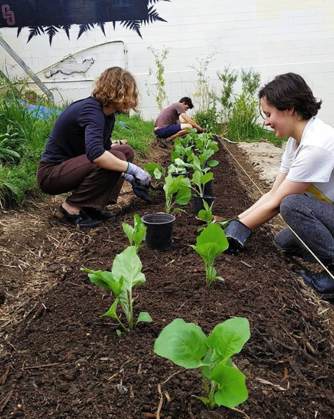 omg working bee 3.PNG