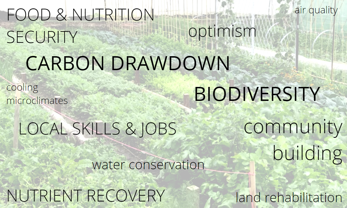 new 11 CCR values.PNG