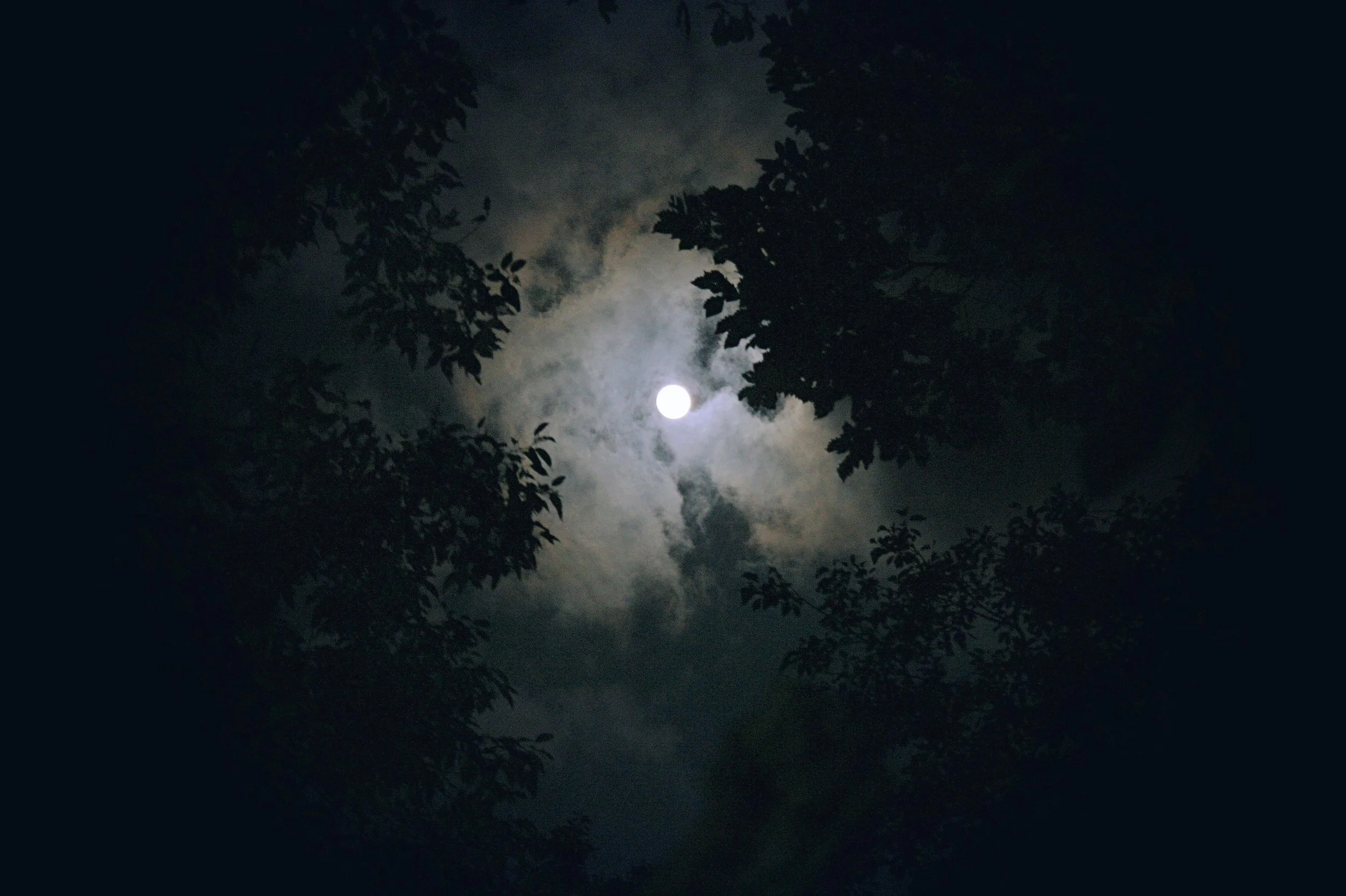 moon-1180345.jpg (Squarespace).jpg