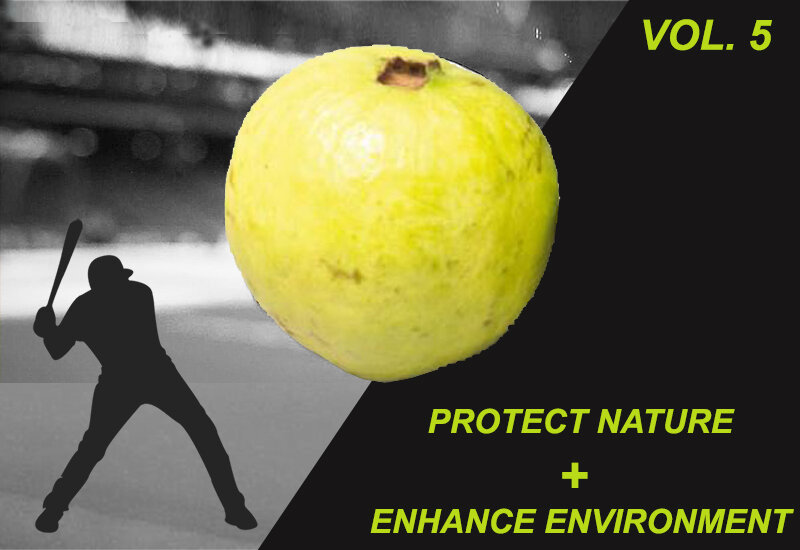 protect-nature-enhance-environment