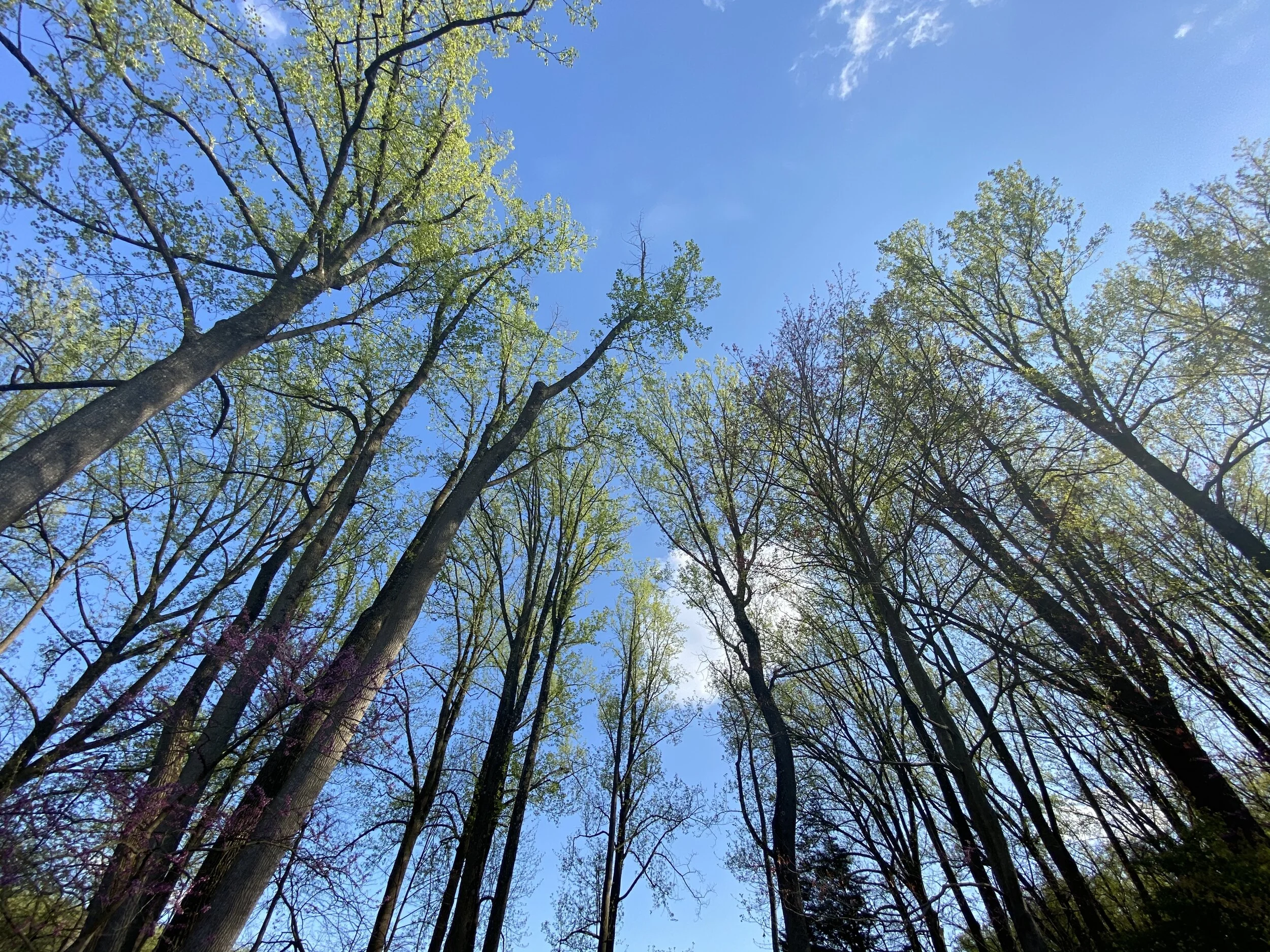 Fun &amp; Healthy [Outdoors] To Go During the Pandemic