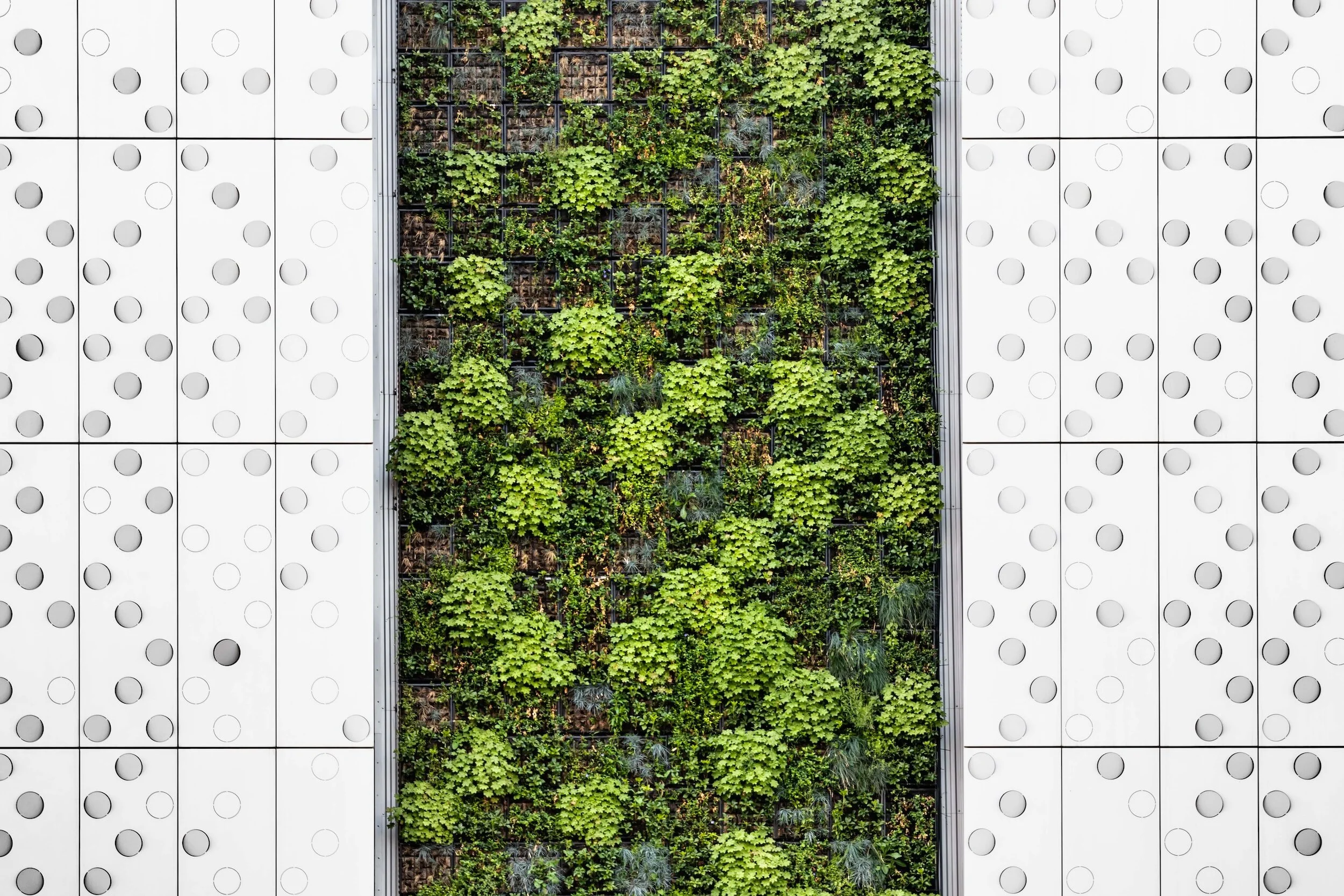 Putting  LEED Principles into Actions