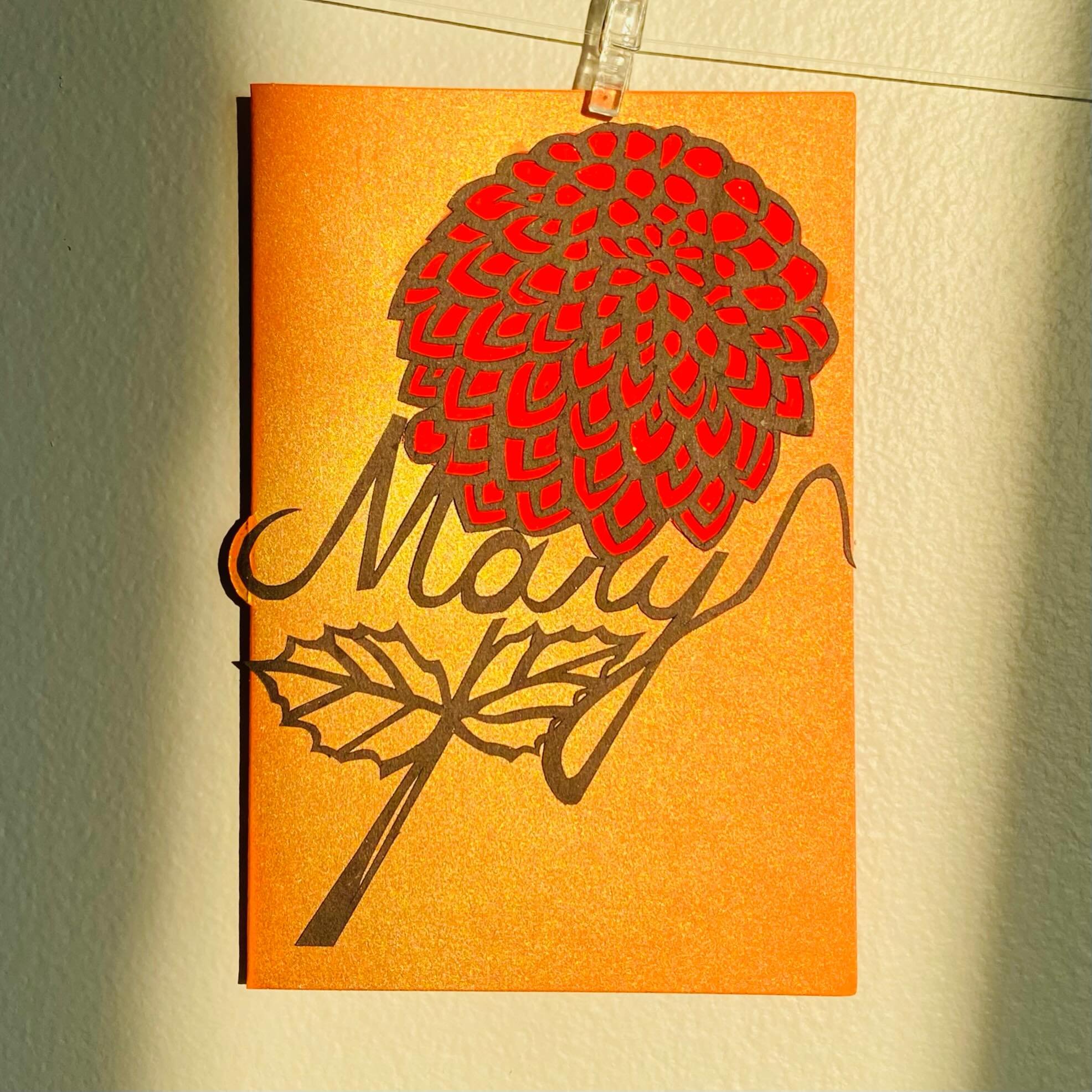 #mary, what a beautiful name. It is said that the name Mary is derived Maria of Greek or Miryam of Hebrew. Among all its associated meaning I like &ldquo;beloved&rdquo; the most. The red dahlia perfectly resembles love passionate beauty. 

Message me