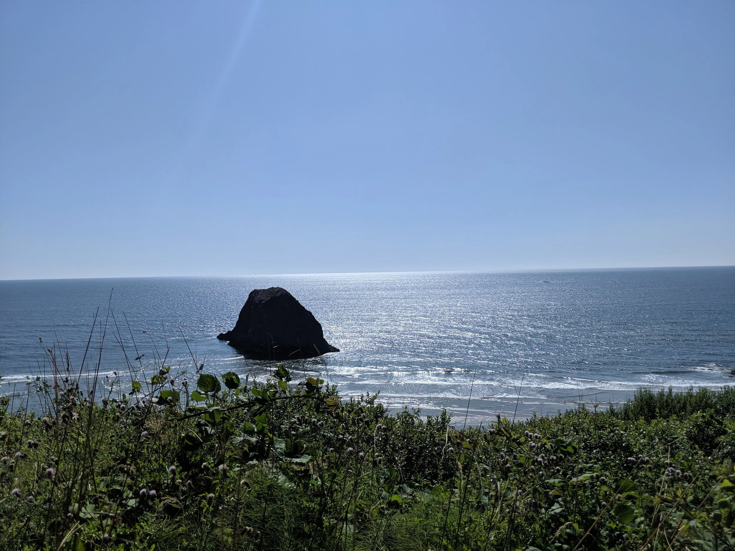 MVIMG_20190724_164908.jpg