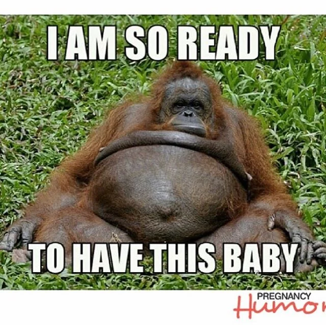 Remembering how those final days felt. #throwbackthursday #placenta #yycmoms #cochranemoms #pregnant #almostover @pregnancy.humor #midwife #pregnantbelly #placentalove